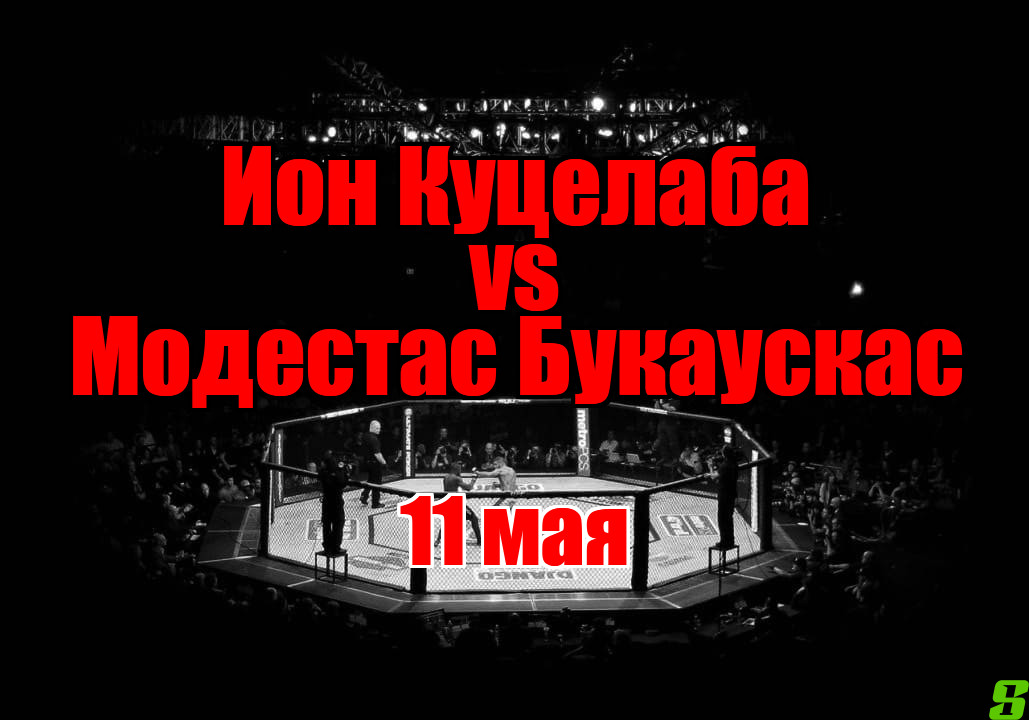 Модестас Букаускас – Ион Куцелаба прогноз на бой