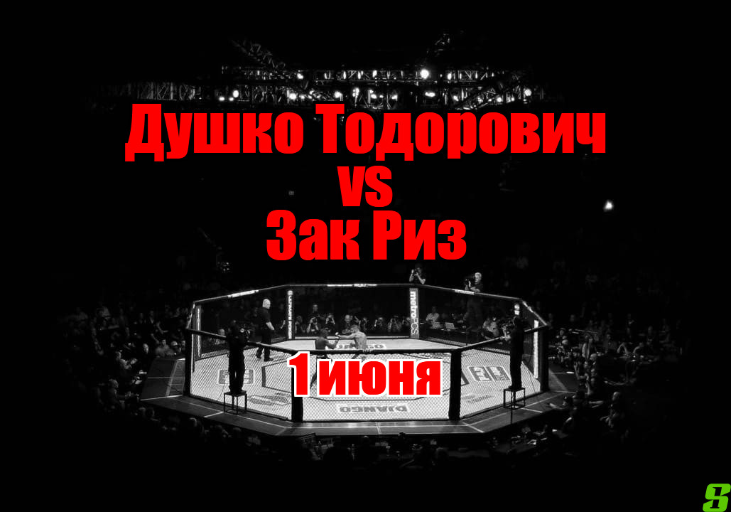 Зак Риз – Душко Тодорович прогноз на бой
